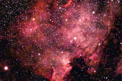 NGC-7000-June-30-2026-5