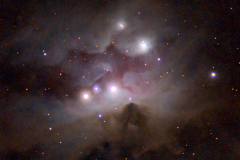 RunningMan-01-19-2026-1