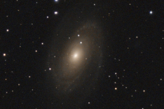 Bodes-Galaxy-M_81_2025-03-11