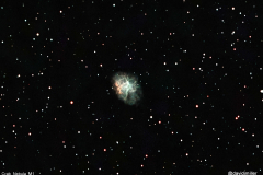 Crab_Nebula_2-7-2026
