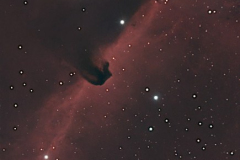 Horse Head Nebula - IC 434