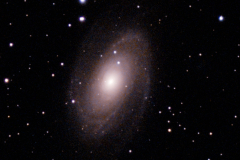 M81-3-12-2025