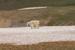 1_ND-SD-WY-19