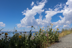 ND-SD-WY-06