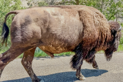 ND-SD-WY-44