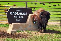 badlands-np-southdak