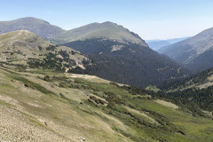 IMG_1704