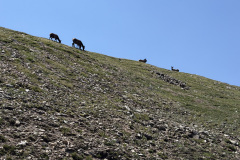IMG_1707